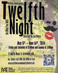 TWELFTH NIGHT (OR WHAT YOU WILL) show poster