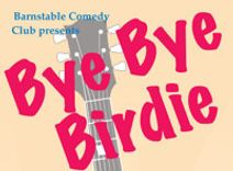 Bye Bye Birdie
