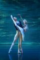Swan Lake: International Ballet Stars in Pensacola, FL! in Jacksonville