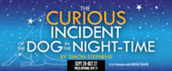 The Curious Incident of the Dog in the Night-Time show poster
