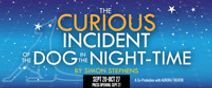 The Curious Incident of the Dog in the Night-Time