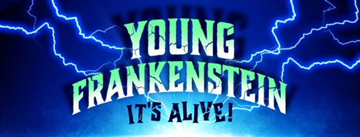 Young Frankenstein show poster