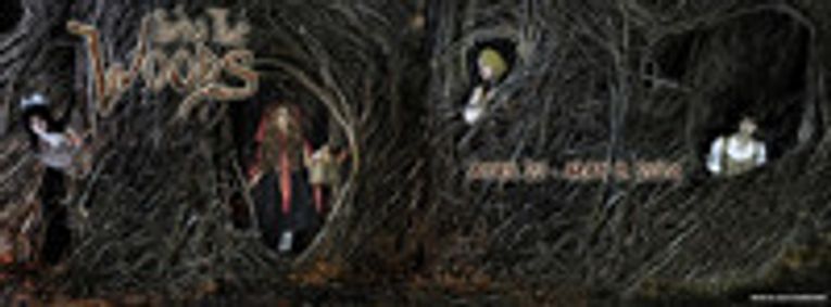 Into The Woods show poster