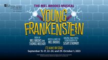 Young Frankenstein