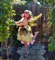 A Faery Hunt and Their Animal Friends