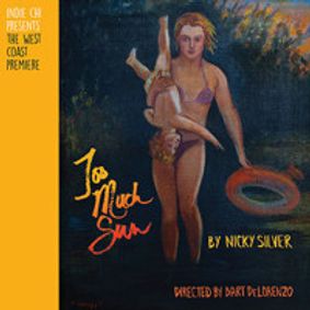 Too Much Sun show poster