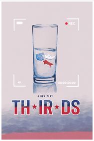 TH IR DS show poster