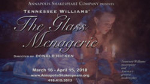 THE GLASS MENAGERIE show poster