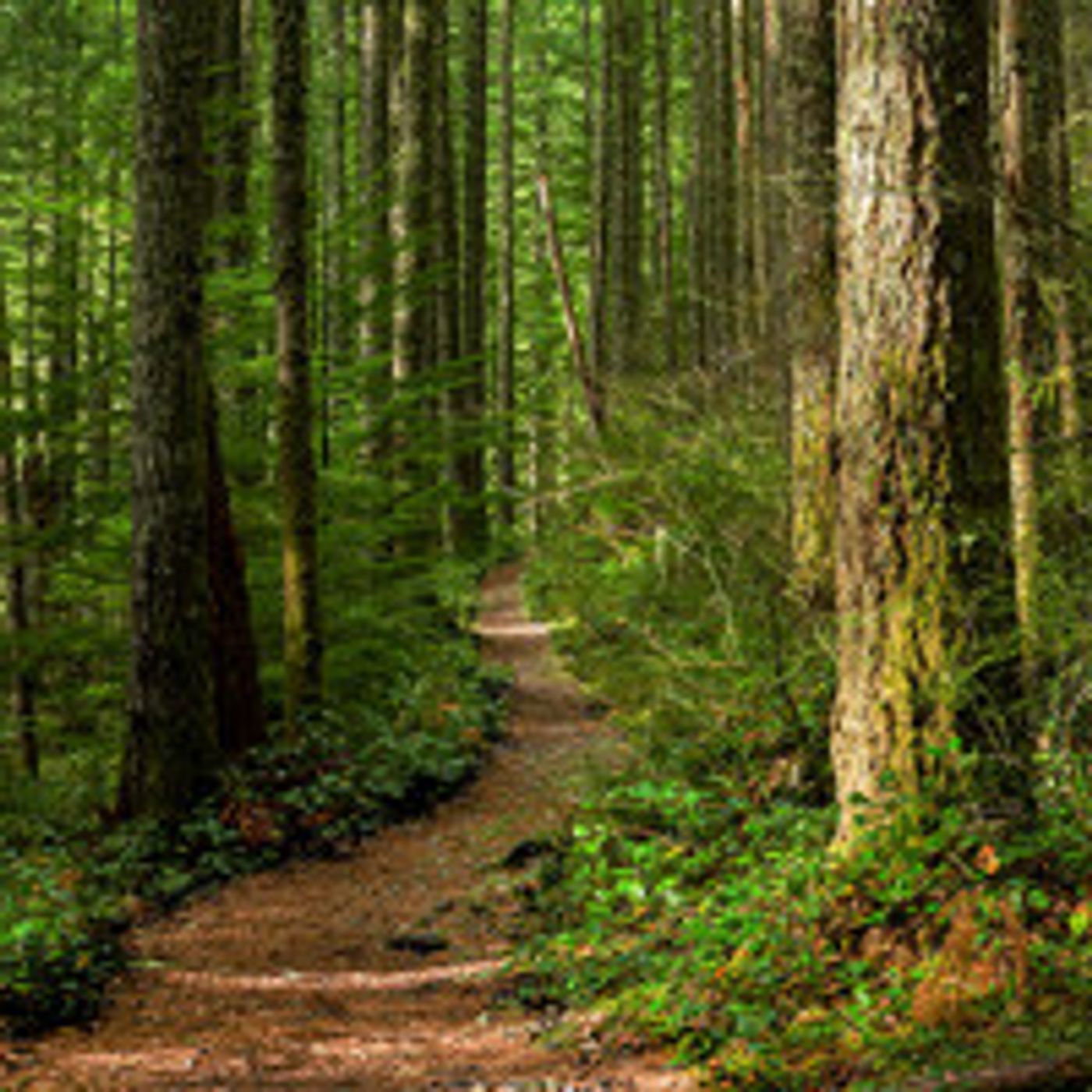 YOUNG FRANKENSTEIN, RENT, CHARLOTTE'S WEB & More Lead Orlando's October Theater Top Picks  Image