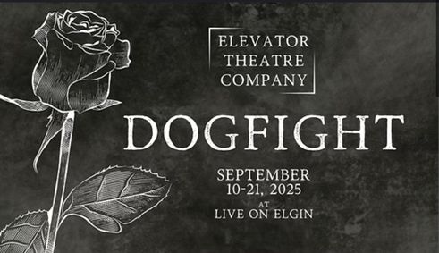 Dogfight show poster