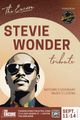 Tribute: STEVIE WONDER in Michigan