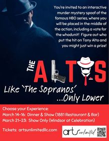 The Altos, like 'The Sopranos,' Only Lower show poster