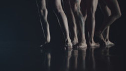 Daina Ashbee show poster