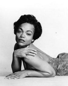 The Disappearance of Eartha Kitt show poster