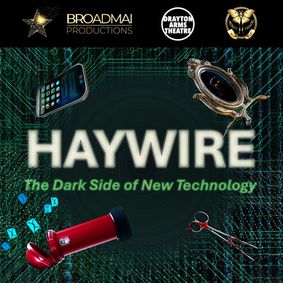 HAYWIRE: The Dark Side of New Technology show poster