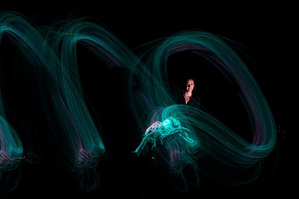 Lightwire Theatre: “Dino-Light” show poster