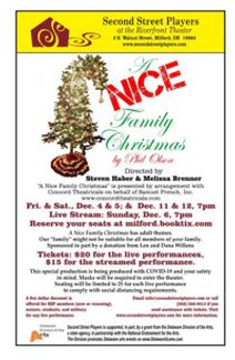 A Nice Family Christmas