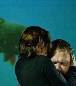 The Wild Duck show poster