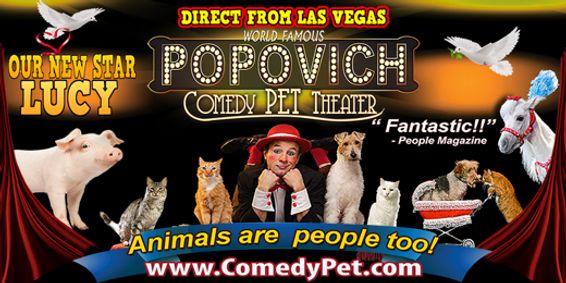 Popovich Pet Comedy Theatre show poster