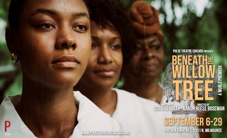 Beneath The Willow Tree show poster