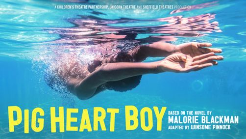 Pig Heart Boy show poster