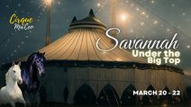 Cirque Ma'Ceo LIVE in Savannah March 20 - 22, 2026