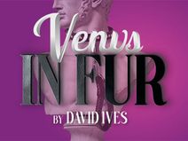 Venus in Fur