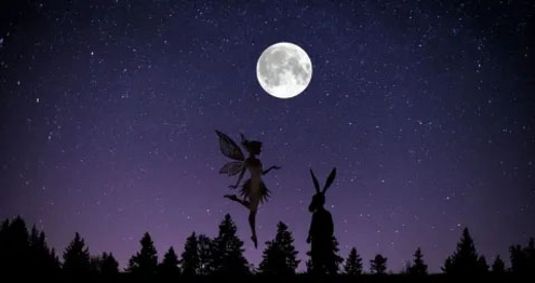 What Fools! A One-Hour Midsummer Night's Dream show poster