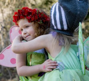 A Faery Hunt Amazing Adventure show poster