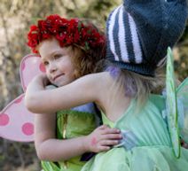 A Faery Hunt Amazing Adventure