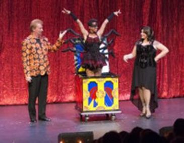 DAVID SEEBACH’S ILLUSIONS IN THE NIGHT show poster