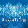 MY SPIRITS SOAR in Los Angeles