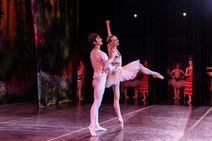 The San Jose Nutcracker