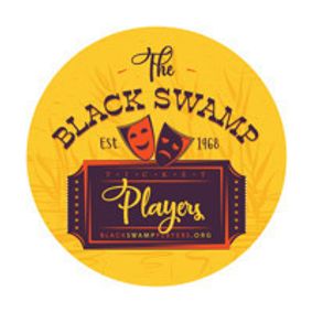 The Odd Couple, Female Version show poster