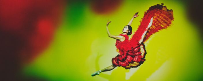 Don Quixote show poster