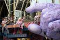 Squonk Opera in Broadway