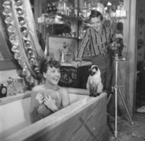 Together, Wherever We Go: Gypsy Rose Lee by her Son, Erik Lee Preminger show poster