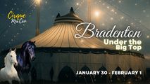 Cirque Ma'Ceo LIVE in Bradenton - Jan 30 - Feb 1, 2026 in Sarasota