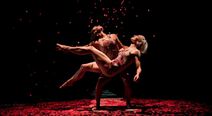 Pilobolus: Other Worlds Collection