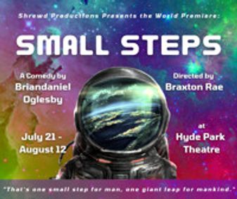 Small Steps show poster