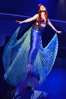 Disney's The Little Mermaid