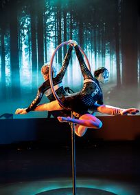 26th Annual Arizona Dance Festival 2025 show poster