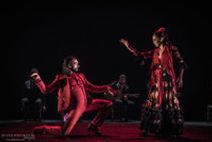 GOYA FOODS presents THE LEHMAN CENTER PERFORMING ARTS SERIES COMPANIA FLAMENCA Eduardo Guerrero
