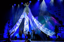 Cirque Musica Holiday Wonderland