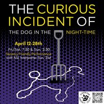 Curious Incident of the Dog in the Night-time