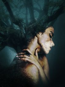 Amongst the Trees show poster