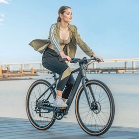 How to choose an lightweight e bike show poster