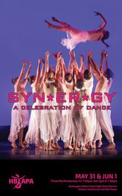 HB APA's Syn*er*gy 2019 show poster