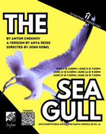 The Seagull