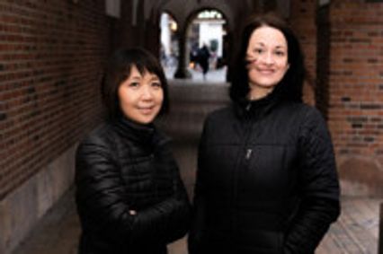 Miolina: Unisonus show poster